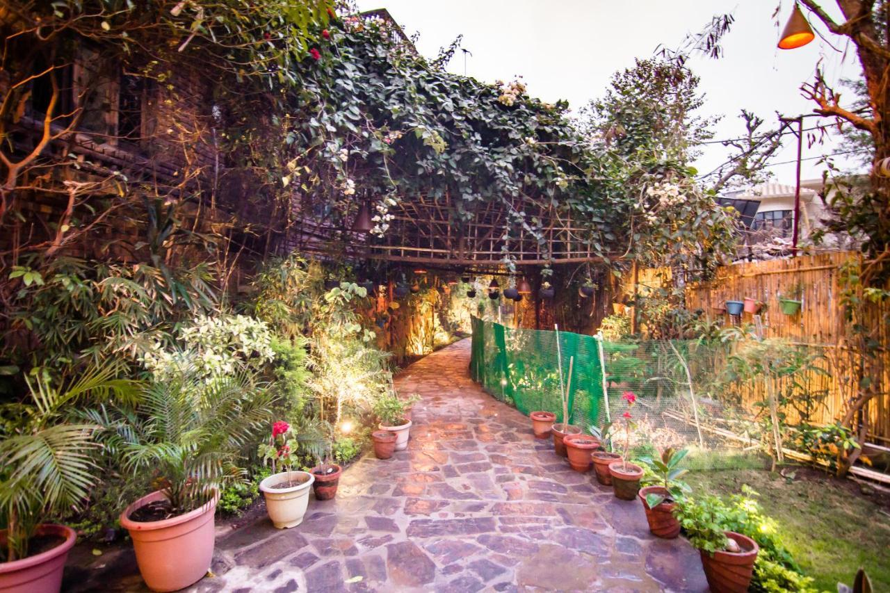 Divine Ganga Cottage Rishīkesh Εξωτερικό φωτογραφία