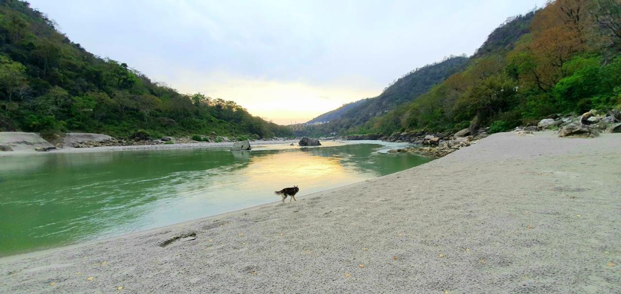 Divine Ganga Cottage Rishīkesh Εξωτερικό φωτογραφία